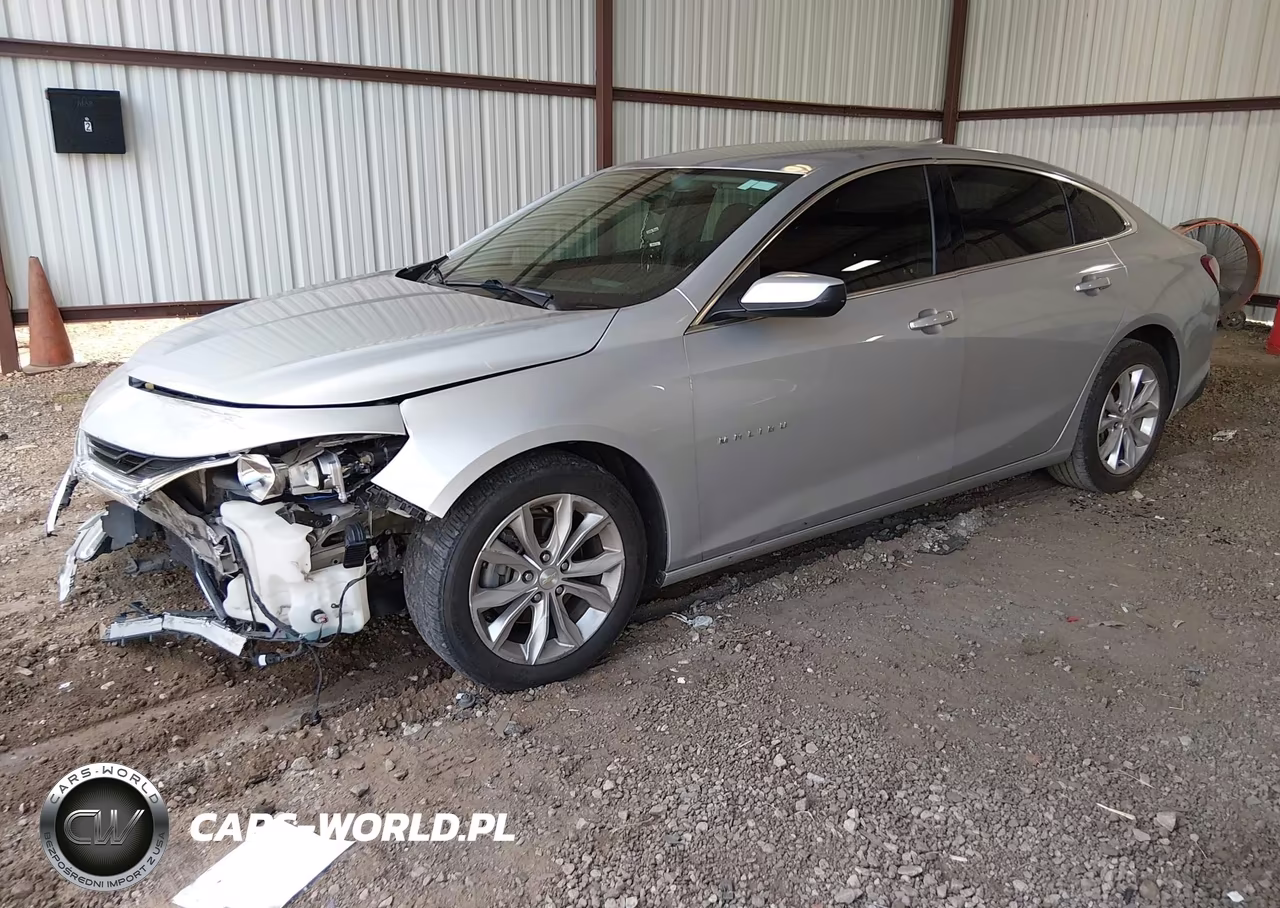 2019 Chevrolet Malibu Lt VIN:1G1ZD5ST6KF112102 - 2