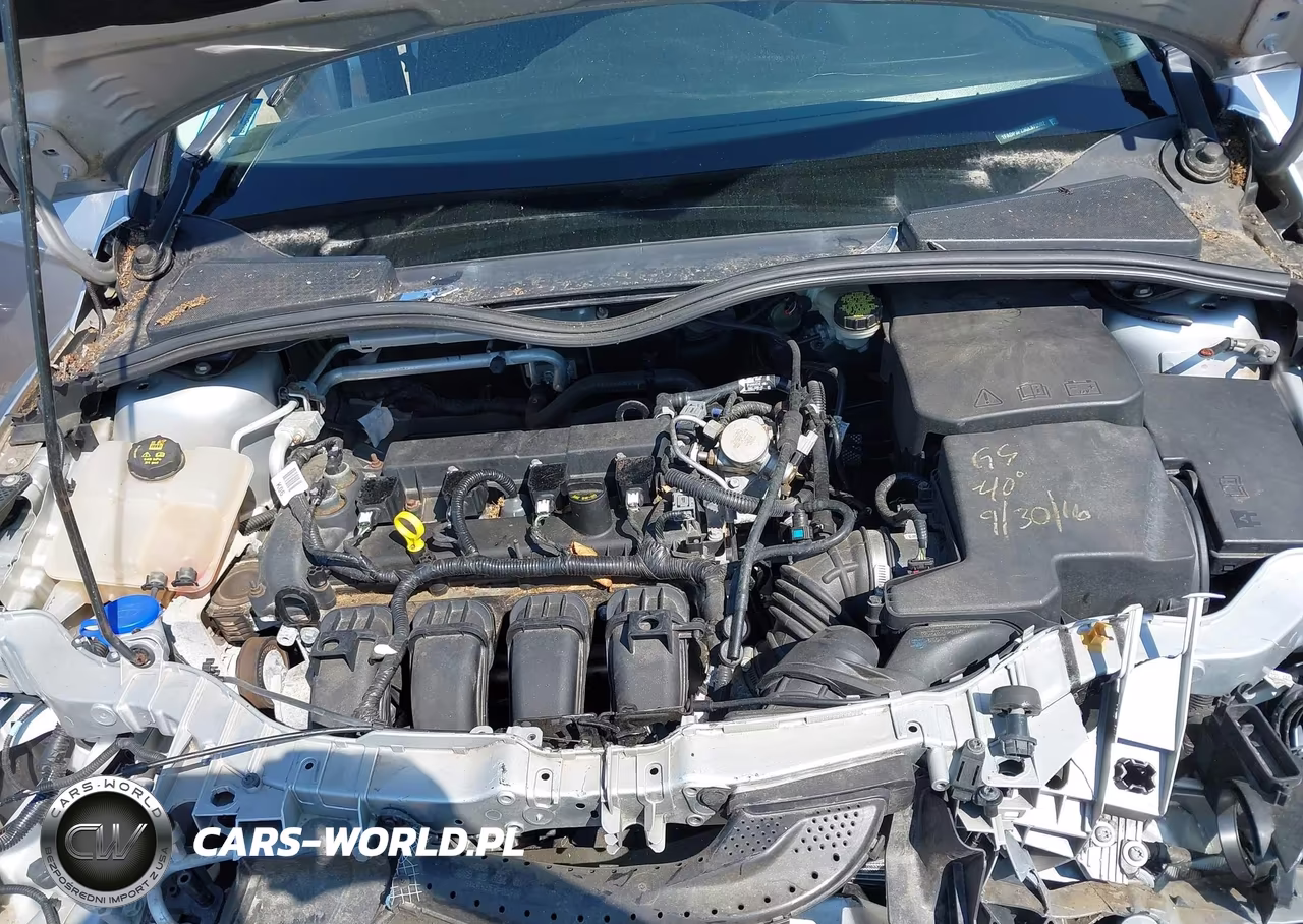 2016 Ford Focus Se VIN:1FADP3F23GL375502 - 10