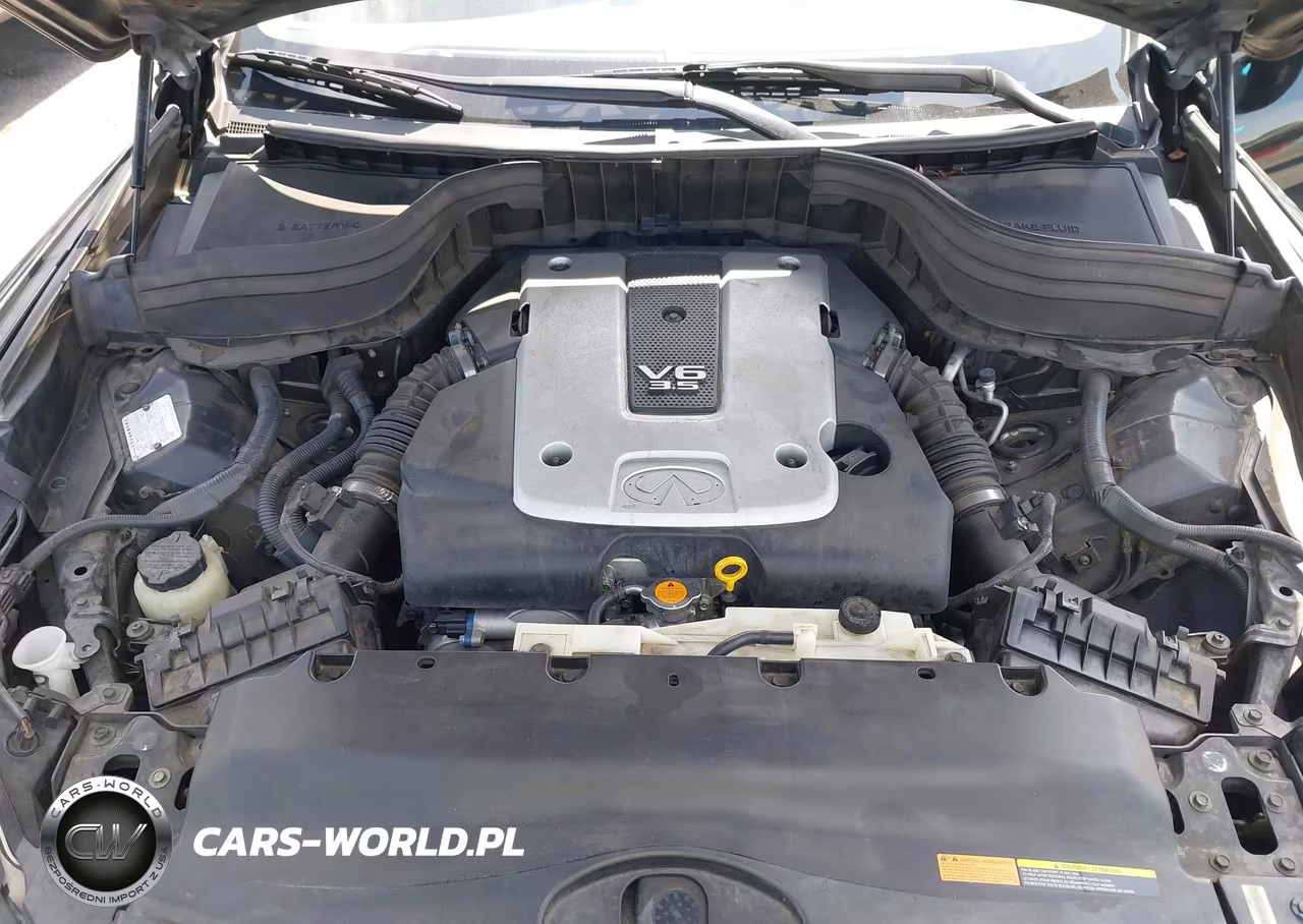 2008 Infiniti Ex35 Journey VIN:JNKAJ09E88M304843 - 10