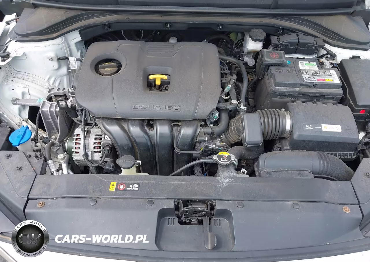 2019 Hyundai Elantra Se VIN:5NPD74LF8KH456919 - 10