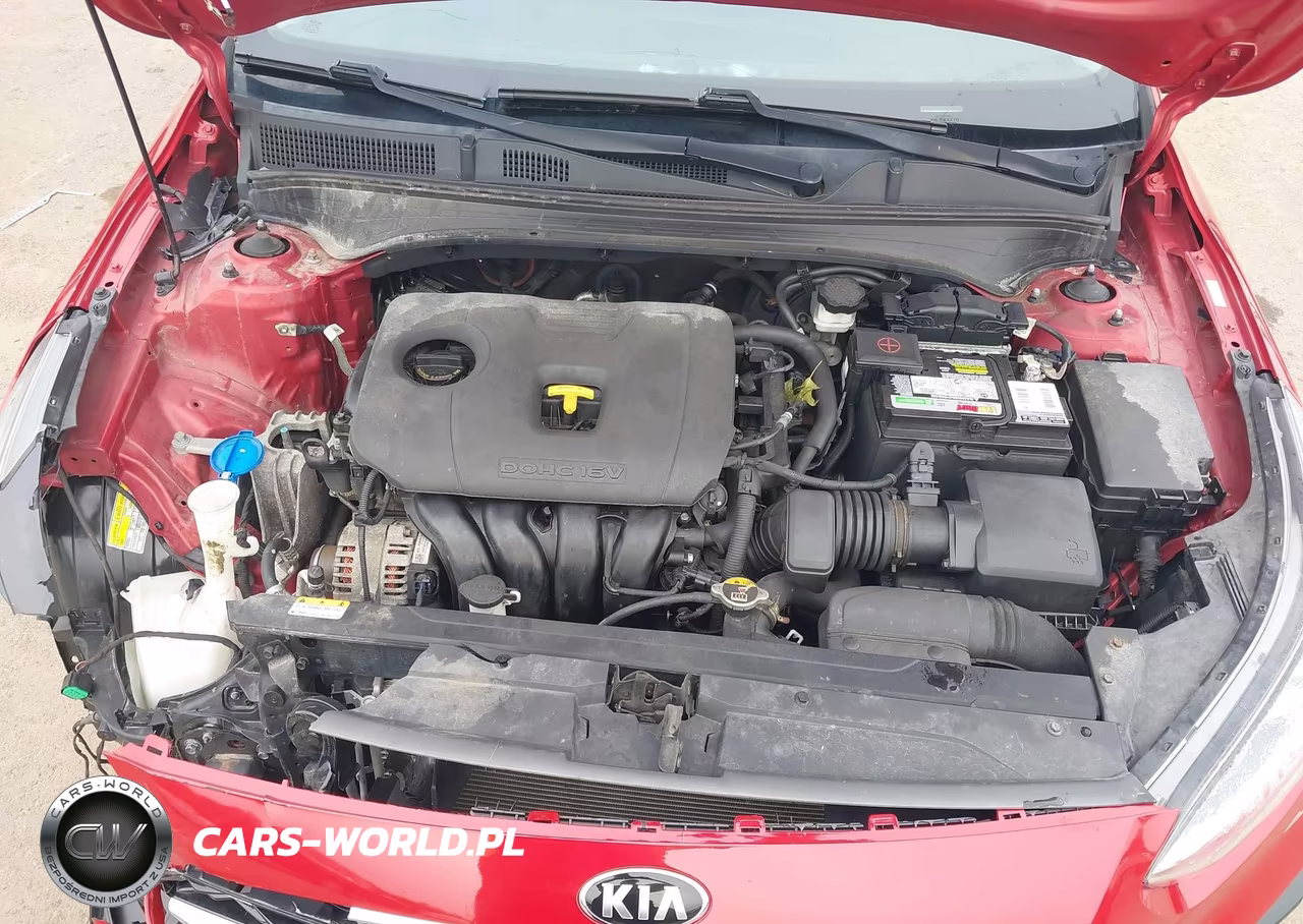 2019 Kia Forte S VIN:3KPF34ADXKE048223 - 10