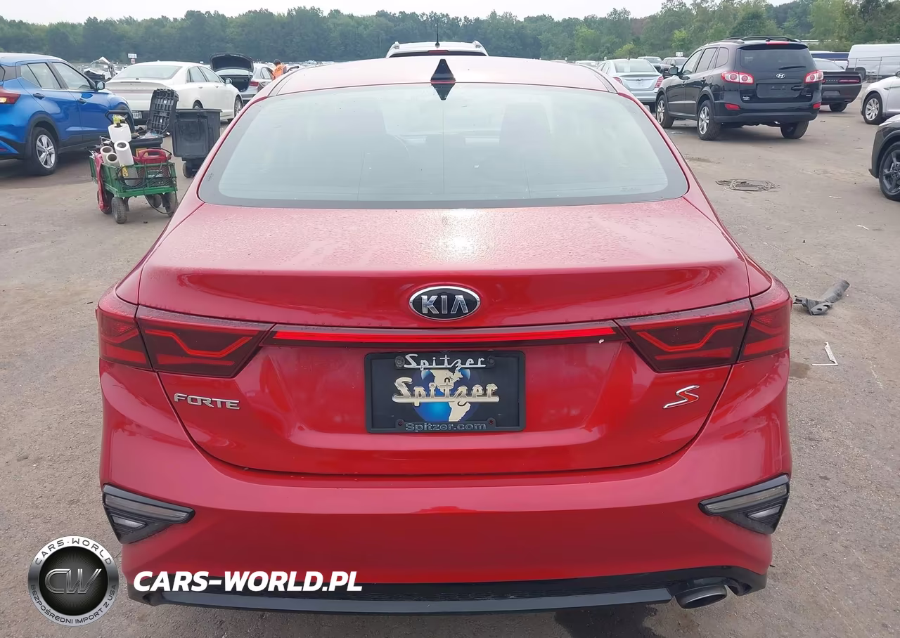 2019 Kia Forte S VIN:3KPF34ADXKE048223 - 16
