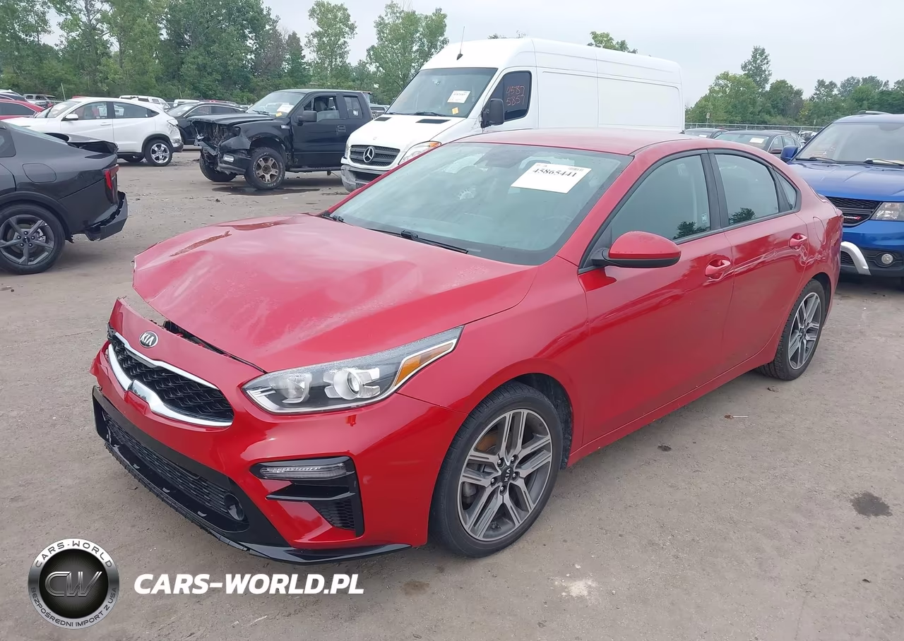 2019 Kia Forte S VIN:3KPF34ADXKE048223 - 2