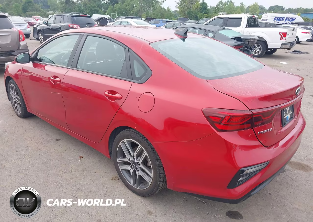 2019 Kia Forte S VIN:3KPF34ADXKE048223 - 3