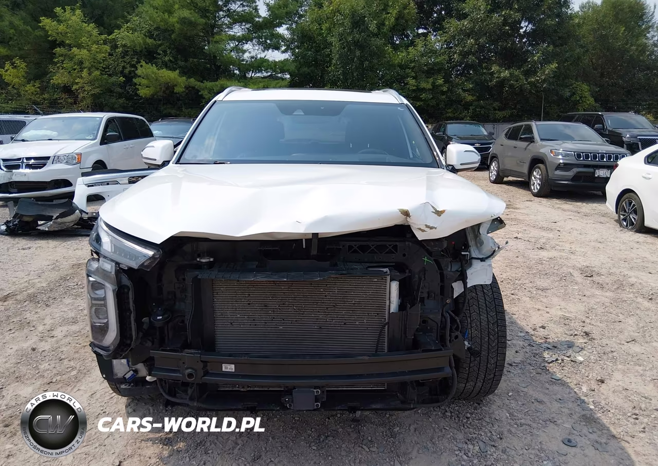 2021 Hyundai Palisade Calligraphy VIN:KM8R7DHE6MU309735 - 13