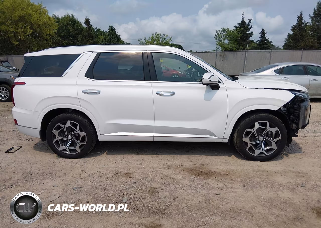 2021 Hyundai Palisade Calligraphy VIN:KM8R7DHE6MU309735 - 14