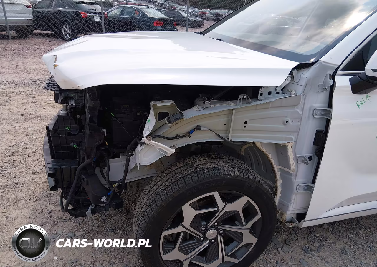 2021 Hyundai Palisade Calligraphy VIN:KM8R7DHE6MU309735 - 19