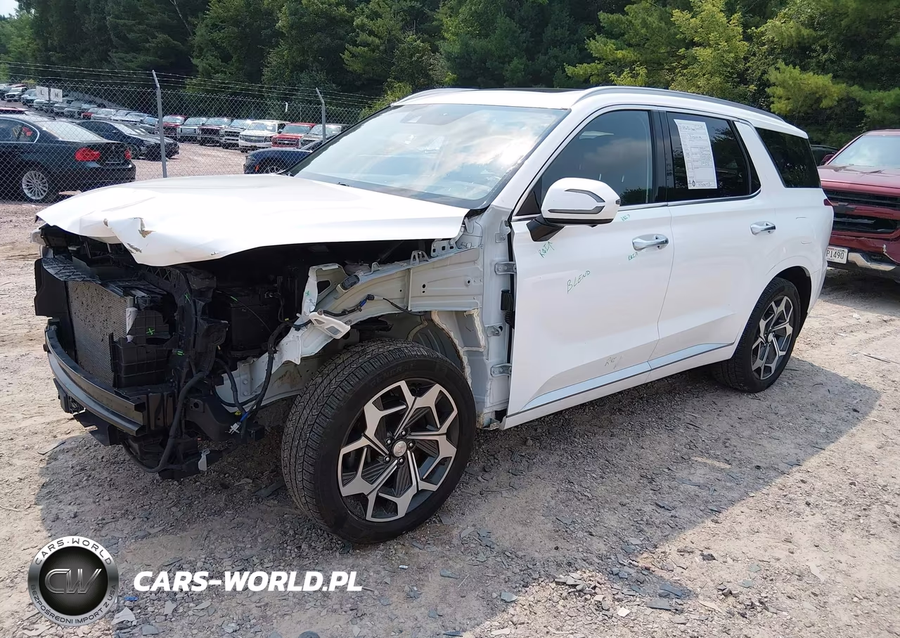 2021 Hyundai Palisade Calligraphy VIN:KM8R7DHE6MU309735 - 2