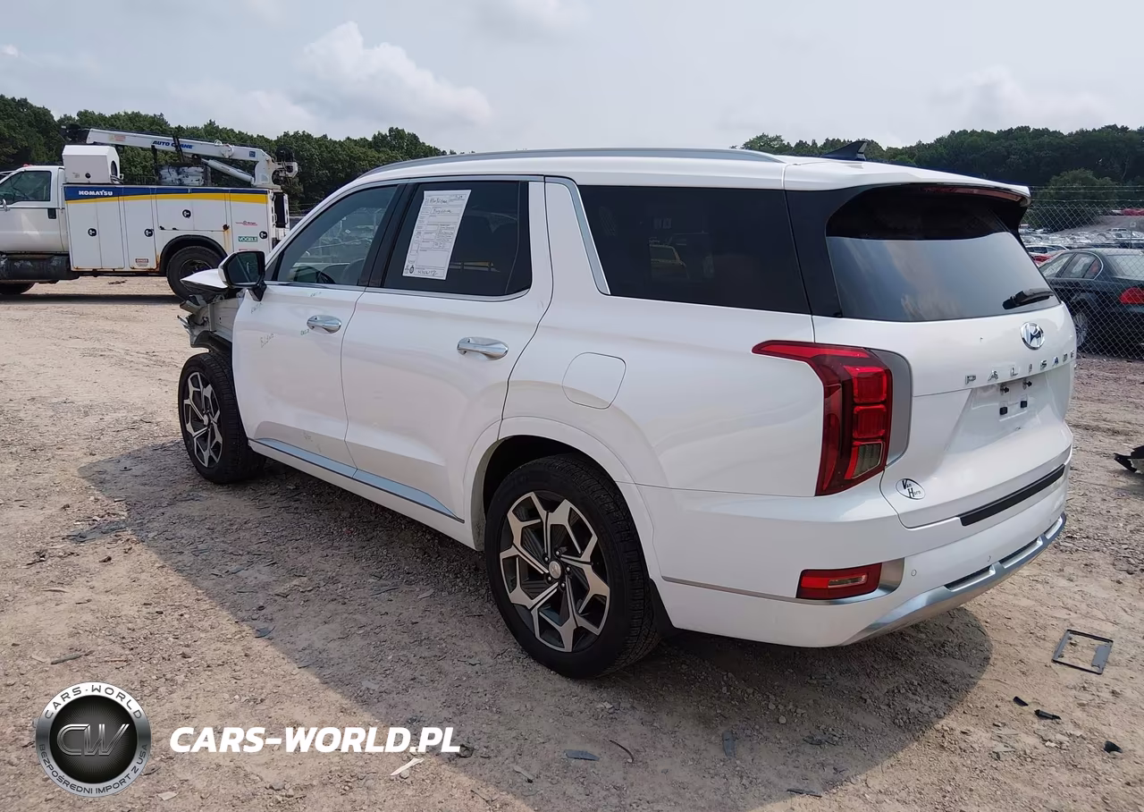 2021 Hyundai Palisade Calligraphy VIN:KM8R7DHE6MU309735 - 3