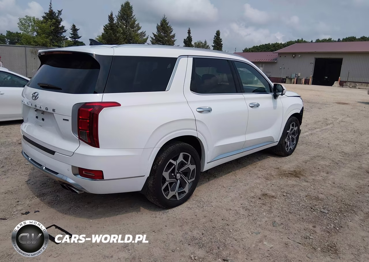 2021 Hyundai Palisade Calligraphy VIN:KM8R7DHE6MU309735 - 4