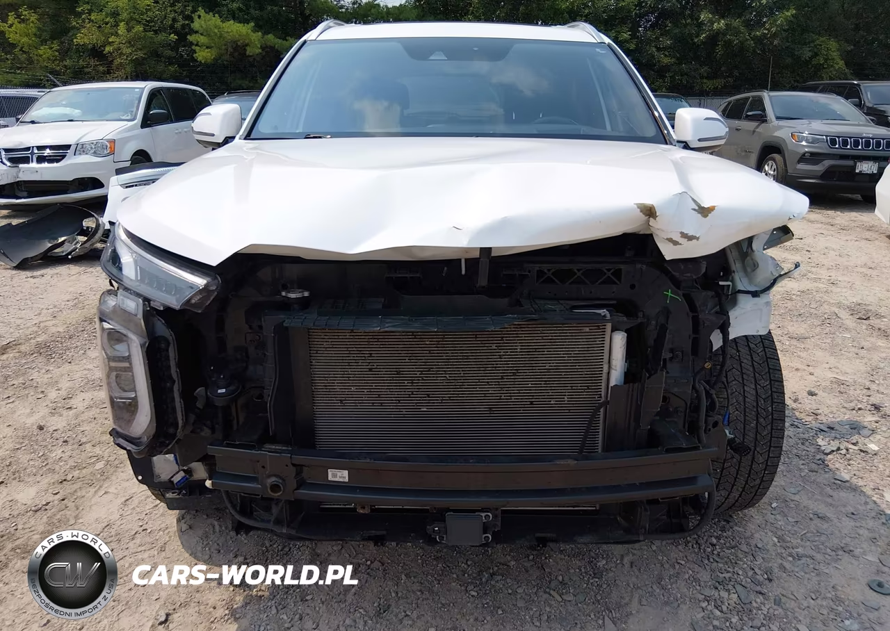 2021 Hyundai Palisade Calligraphy VIN:KM8R7DHE6MU309735 - 6