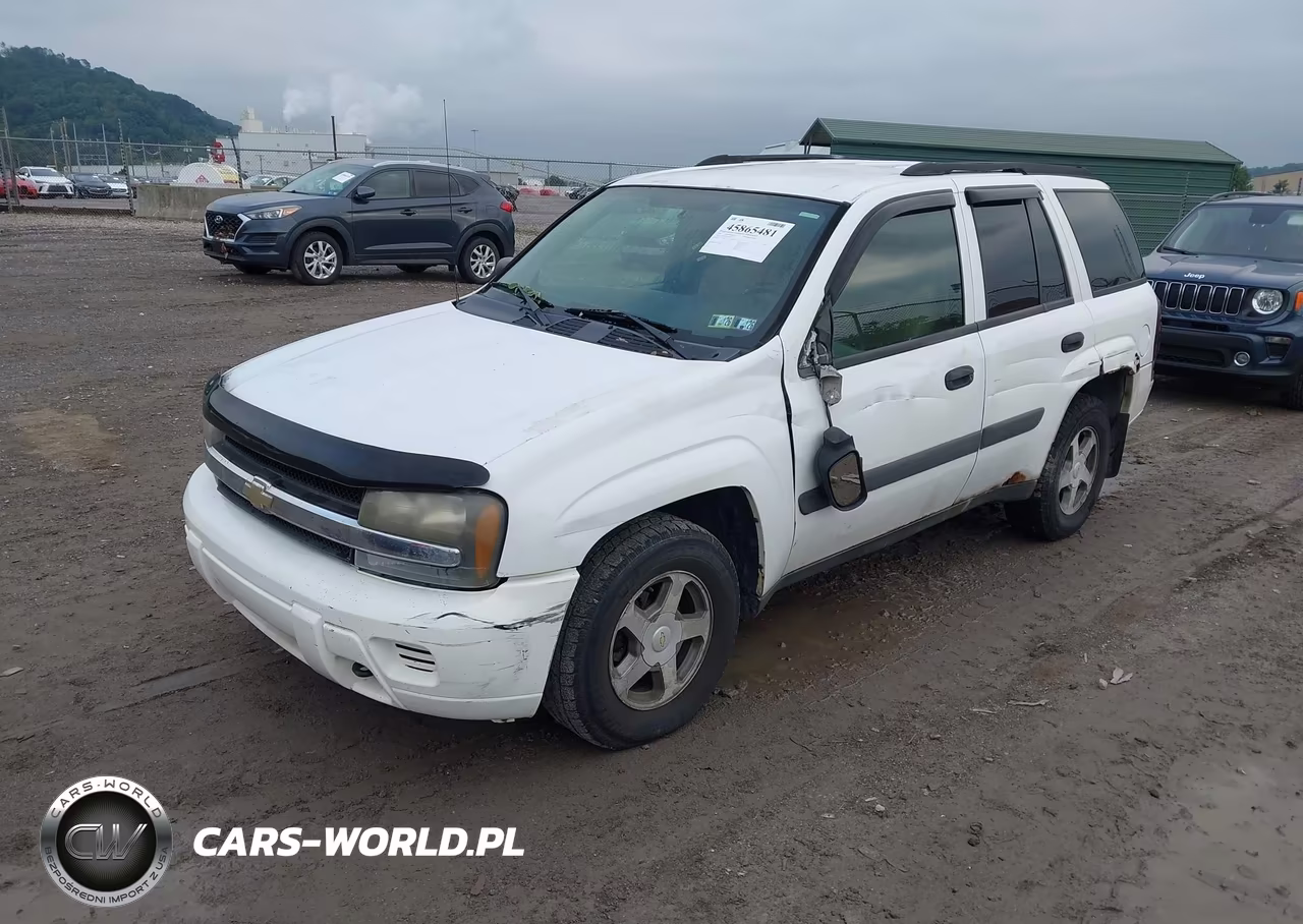 2005 Chevrolet Trailblazer Ls VIN:1GNDT13S452189573 - 2