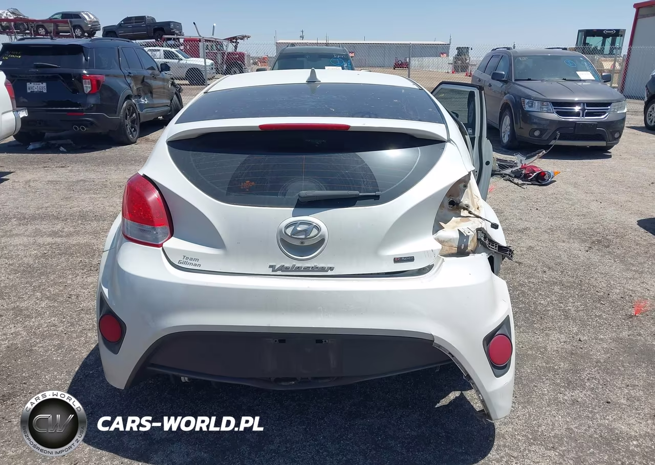 2016 Hyundai Veloster Turbo R-Spec VIN:KMHTC6AE1GU301716 - 17