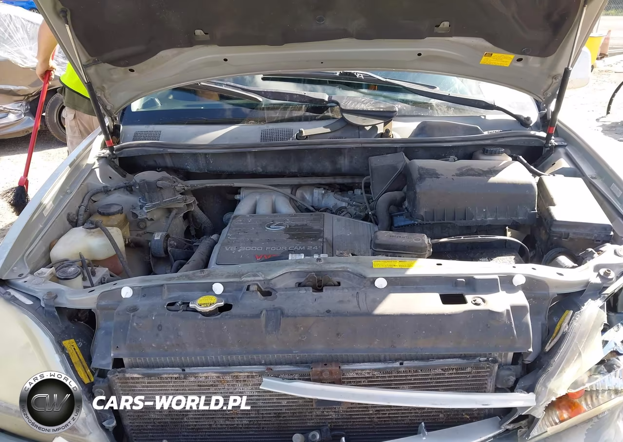 2001 Lexus Rx 300 VIN:JTJGF10U710092115 - 10