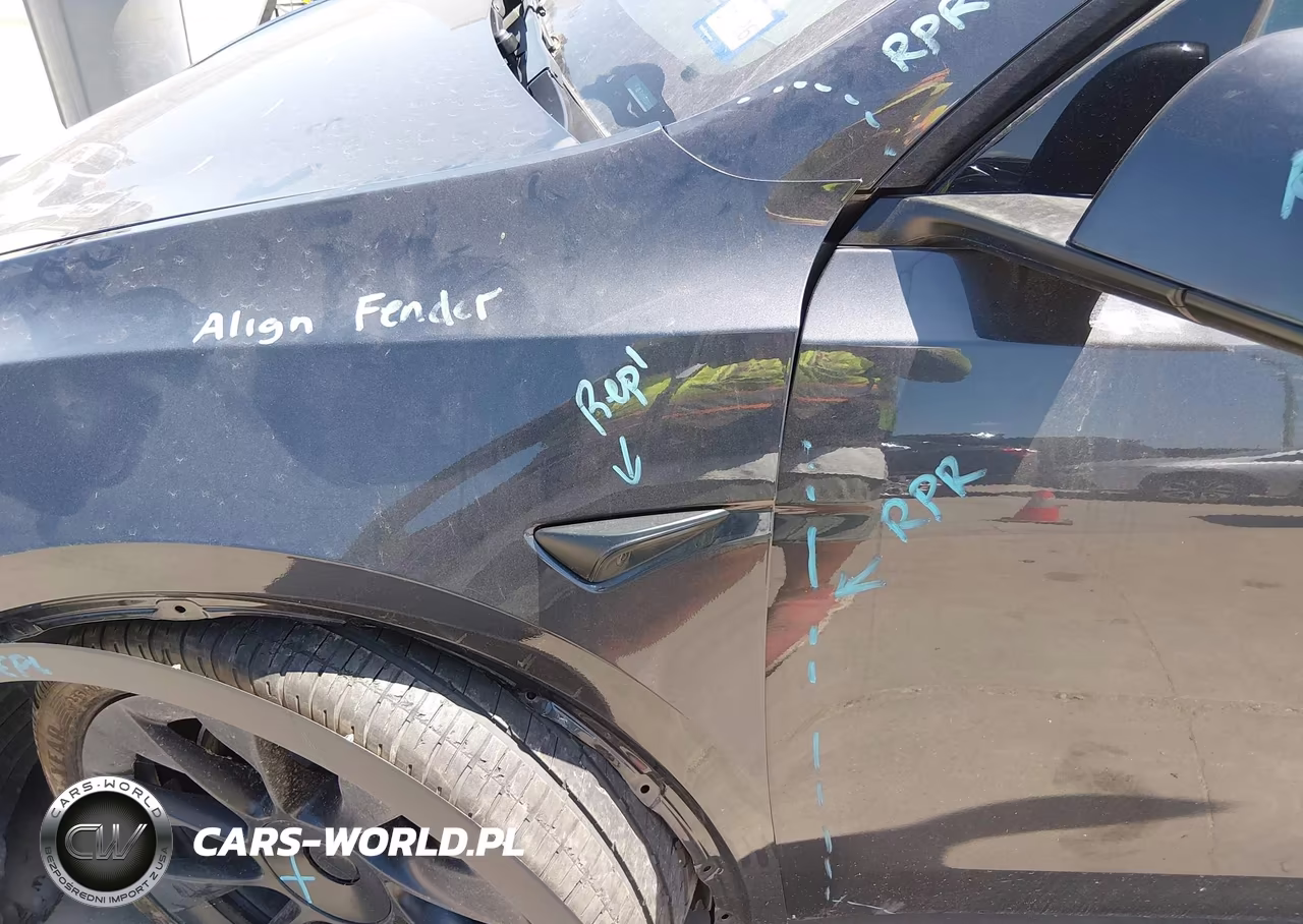2025 Tesla Model Y Long Range Dual Motor All-Wheel Drive VIN:7SAYGAEE2SF295750 - 23