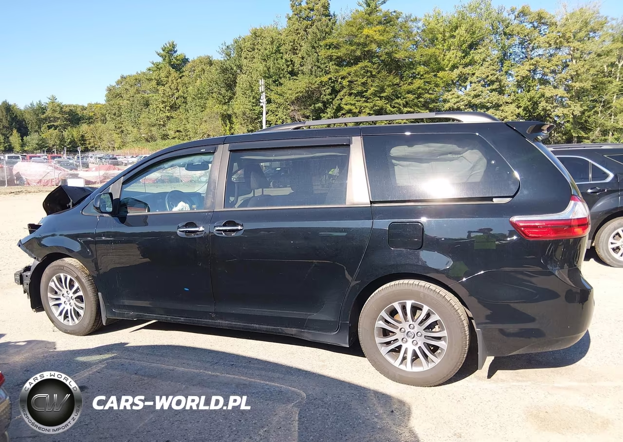 2019 Toyota Sienna Xle 8 Passenger VIN:5TDYZ3DC7KS989669 - 15