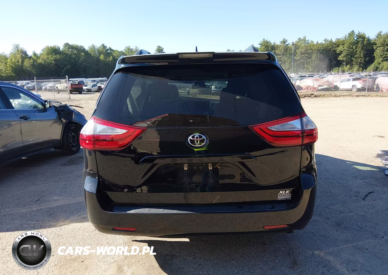2019 Toyota Sienna Xle 8 Passenger VIN:5TDYZ3DC7KS989669 - 17