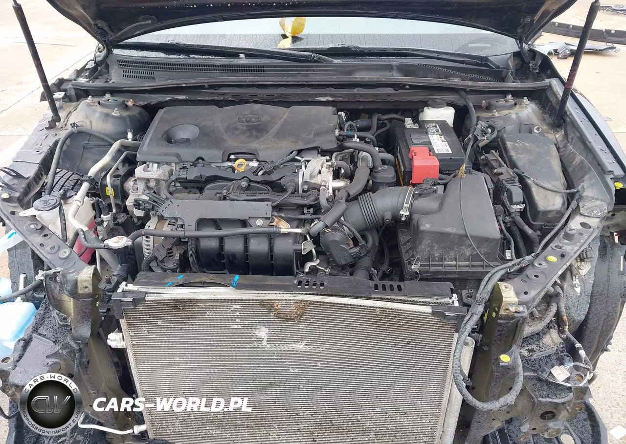 2019 Toyota Camry Le VIN:4T1B11HK0KU691507 - 10