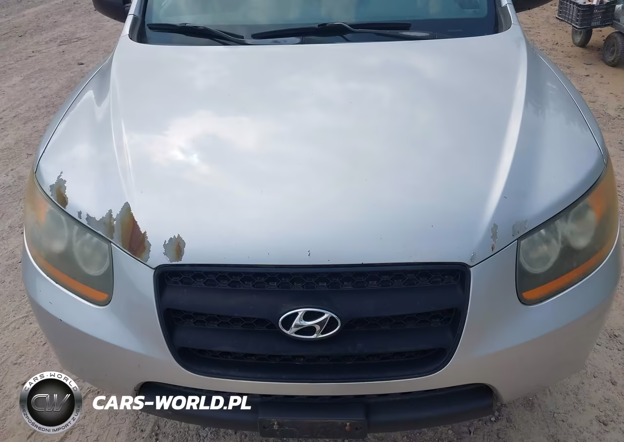 2009 Hyundai Santa Fe Gls VIN:5NMSG13D89H249474 - 14