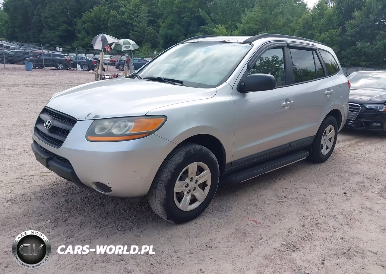 2009 Hyundai Santa Fe Gls VIN:5NMSG13D89H249474 - 2