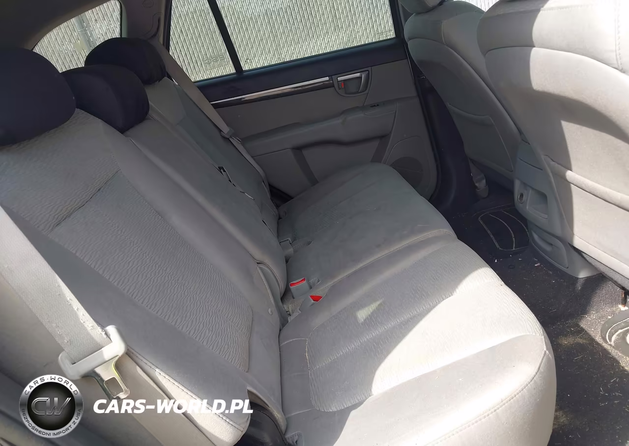 2009 Hyundai Santa Fe Gls VIN:5NMSG13D89H249474 - 8
