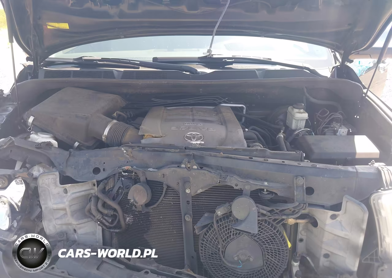 2010 Toyota Sequoia Platinum 5.7L V8 VIN:5TDYY5G1XAS029916 - 10