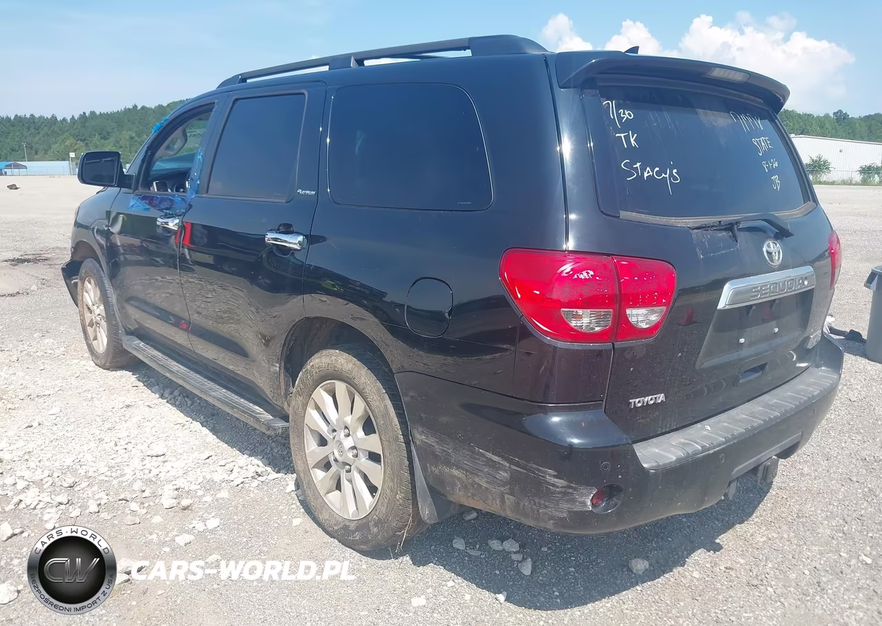 2010 Toyota Sequoia Platinum 5.7L V8 VIN:5TDYY5G1XAS029916 - 3