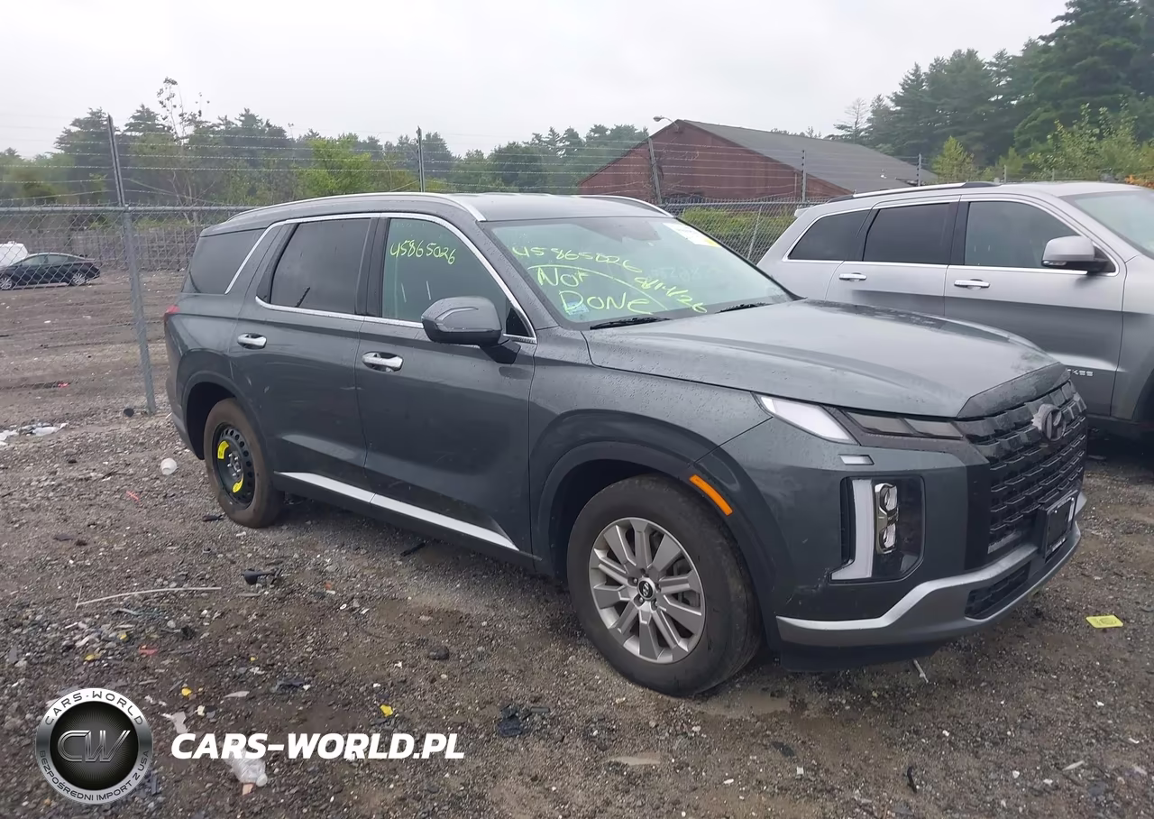 2024 Hyundai Palisade Sel VIN:KM8R2DGE4RU703659 - 1