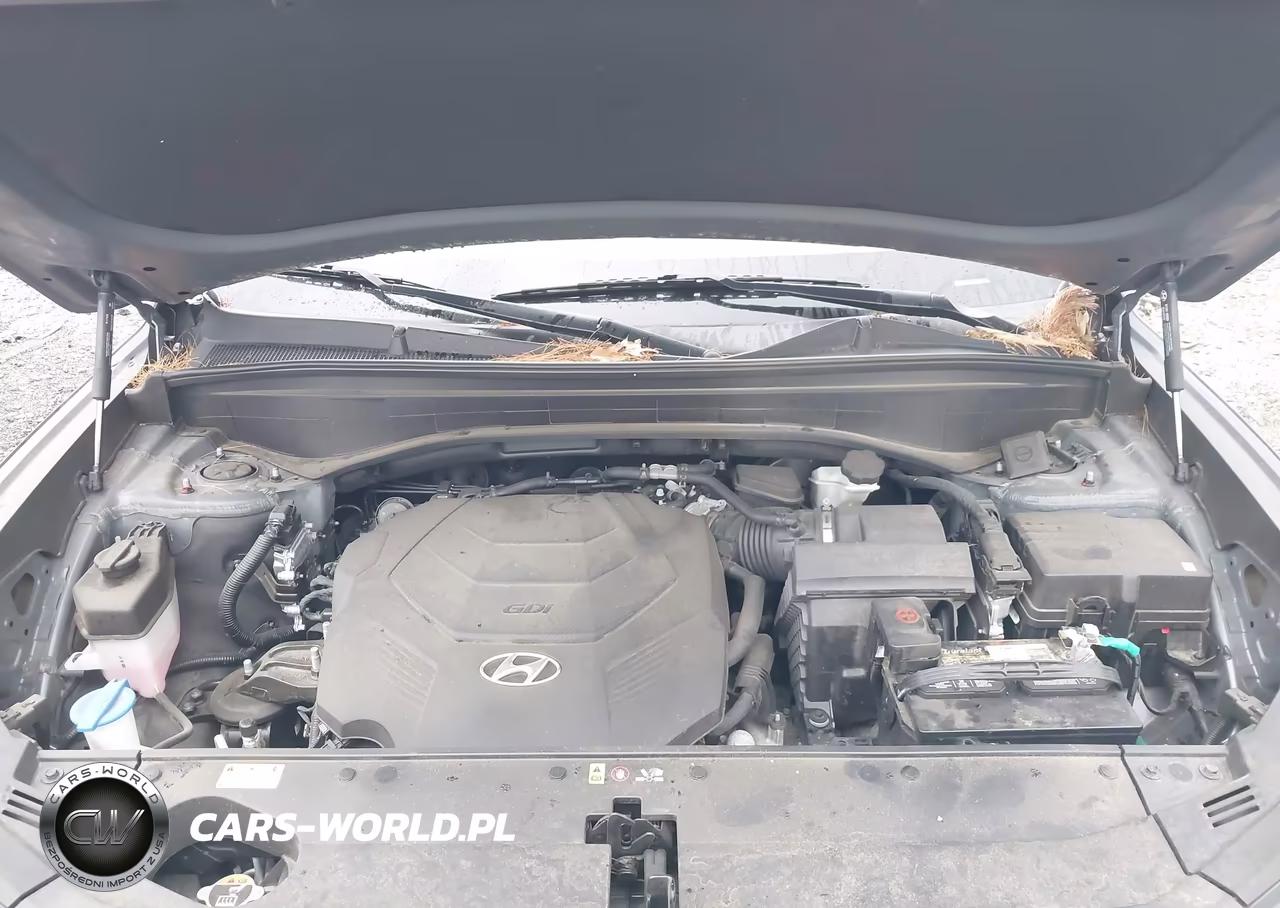 2024 Hyundai Palisade Sel VIN:KM8R2DGE4RU703659 - 10