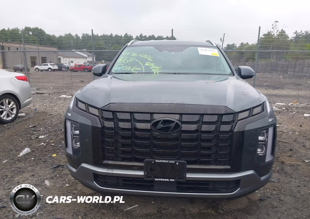 2024 Hyundai Palisade Sel VIN:KM8R2DGE4RU703659 - 12