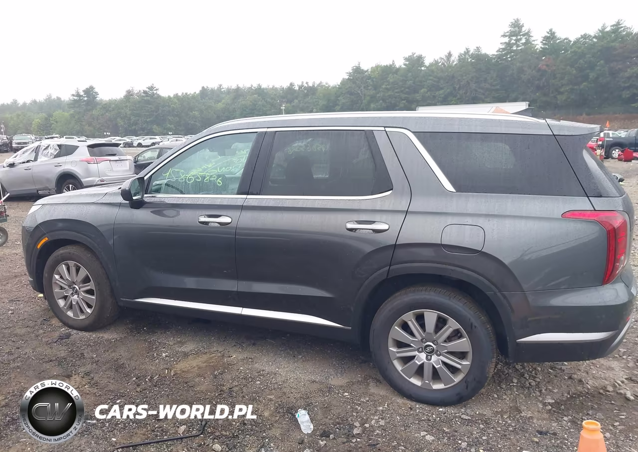 2024 Hyundai Palisade Sel VIN:KM8R2DGE4RU703659 - 14