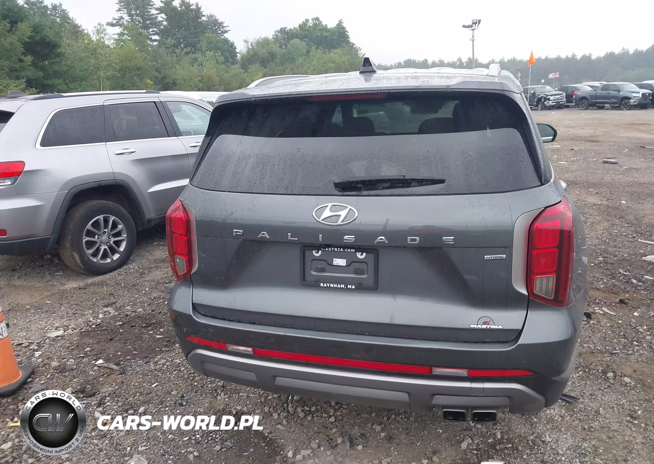 2024 Hyundai Palisade Sel VIN:KM8R2DGE4RU703659 - 16