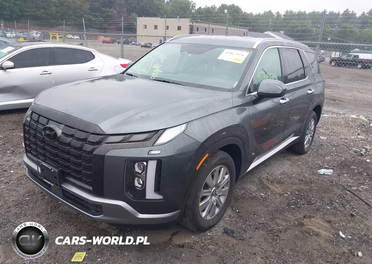 2024 Hyundai Palisade Sel VIN:KM8R2DGE4RU703659 - 2
