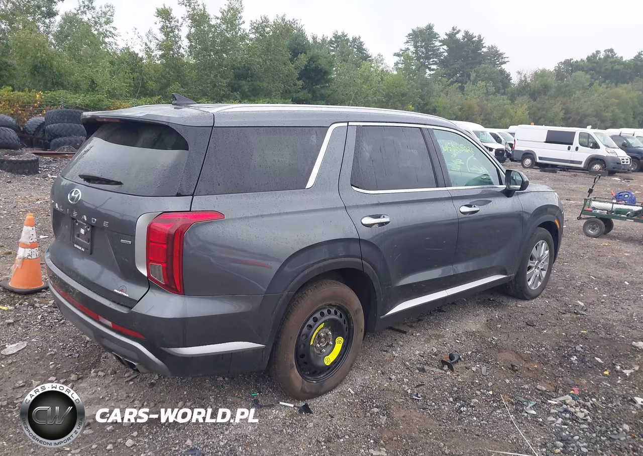 2024 Hyundai Palisade Sel VIN:KM8R2DGE4RU703659 - 4