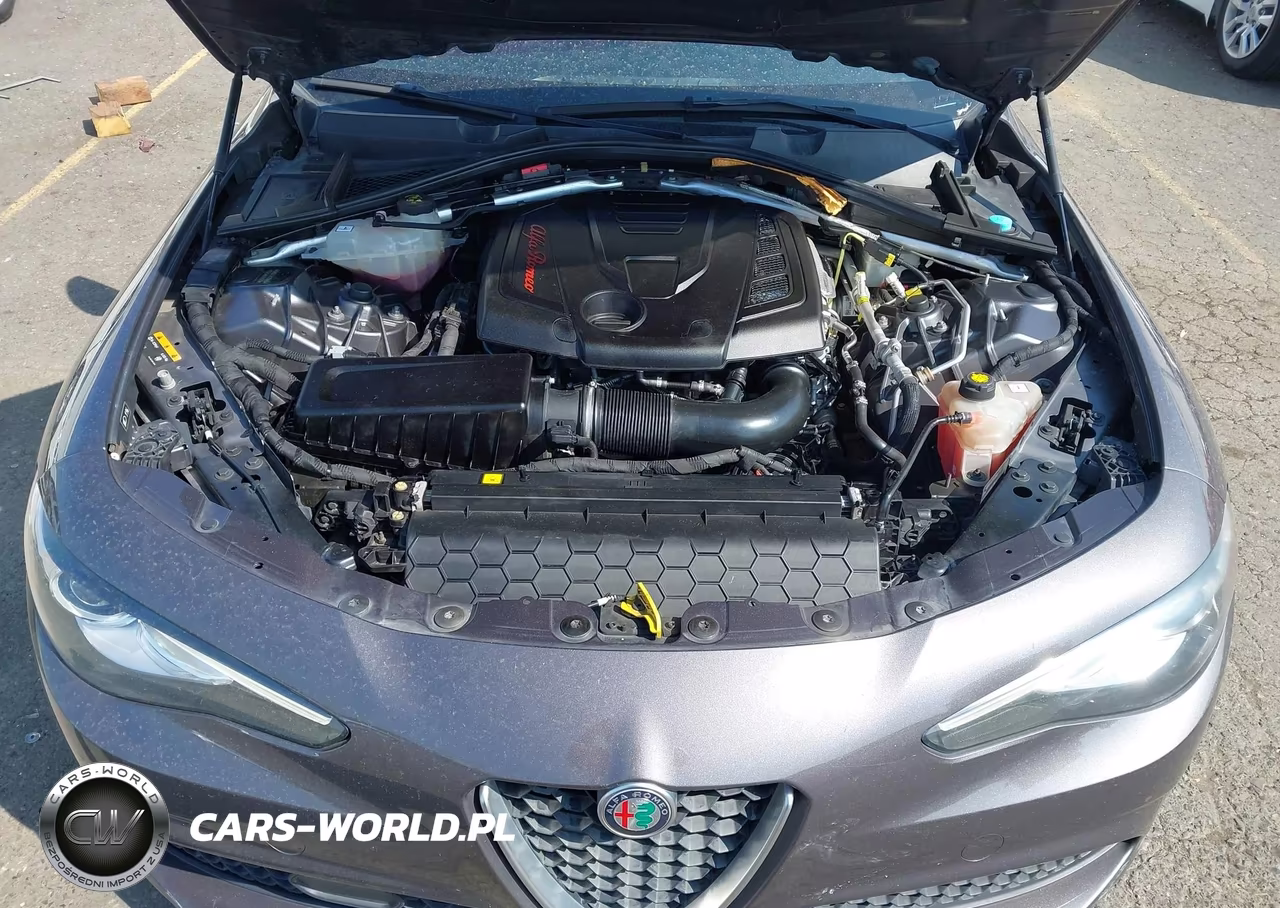 2018 Alfa Romeo Giulia Rwd VIN:ZARFAEBN0J7566994 - 10