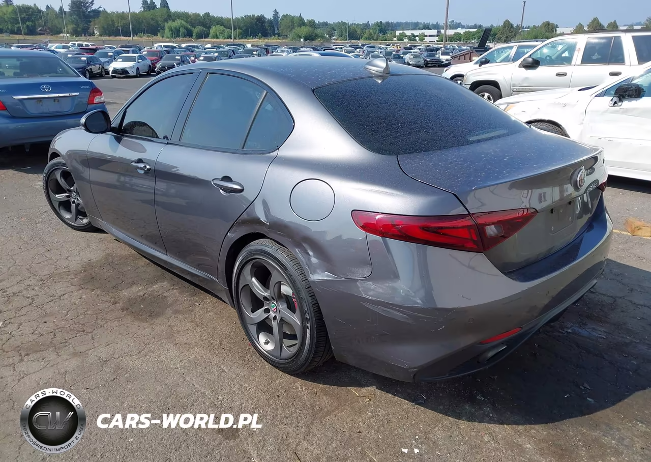 2018 Alfa Romeo Giulia Rwd VIN:ZARFAEBN0J7566994 - 3