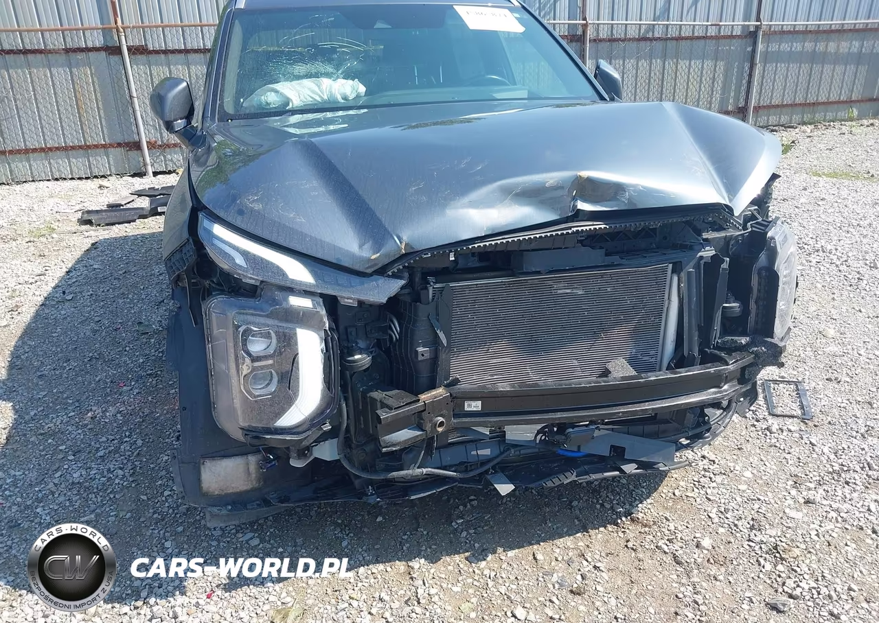 2022 Hyundai Palisade Calligraphy VIN:KM8R7DHE4NU336451 - 6