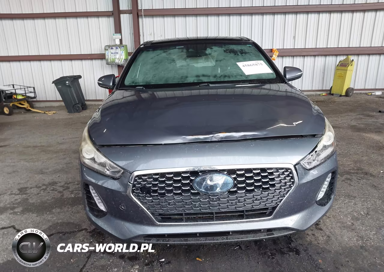 2018 Hyundai Elantra Gt Sport VIN:KMHH55LC0JU018236 - 12