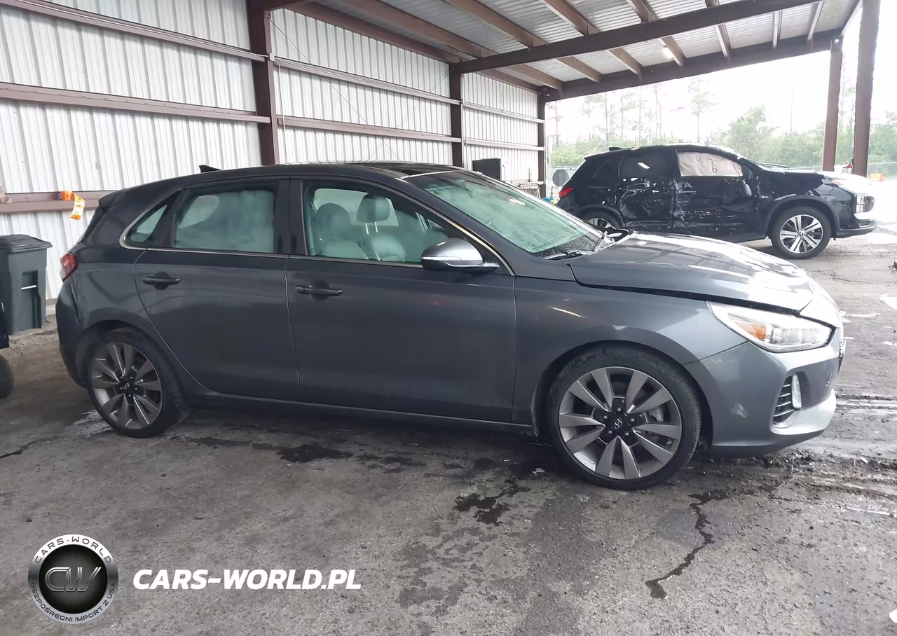 2018 Hyundai Elantra Gt Sport VIN:KMHH55LC0JU018236 - 13