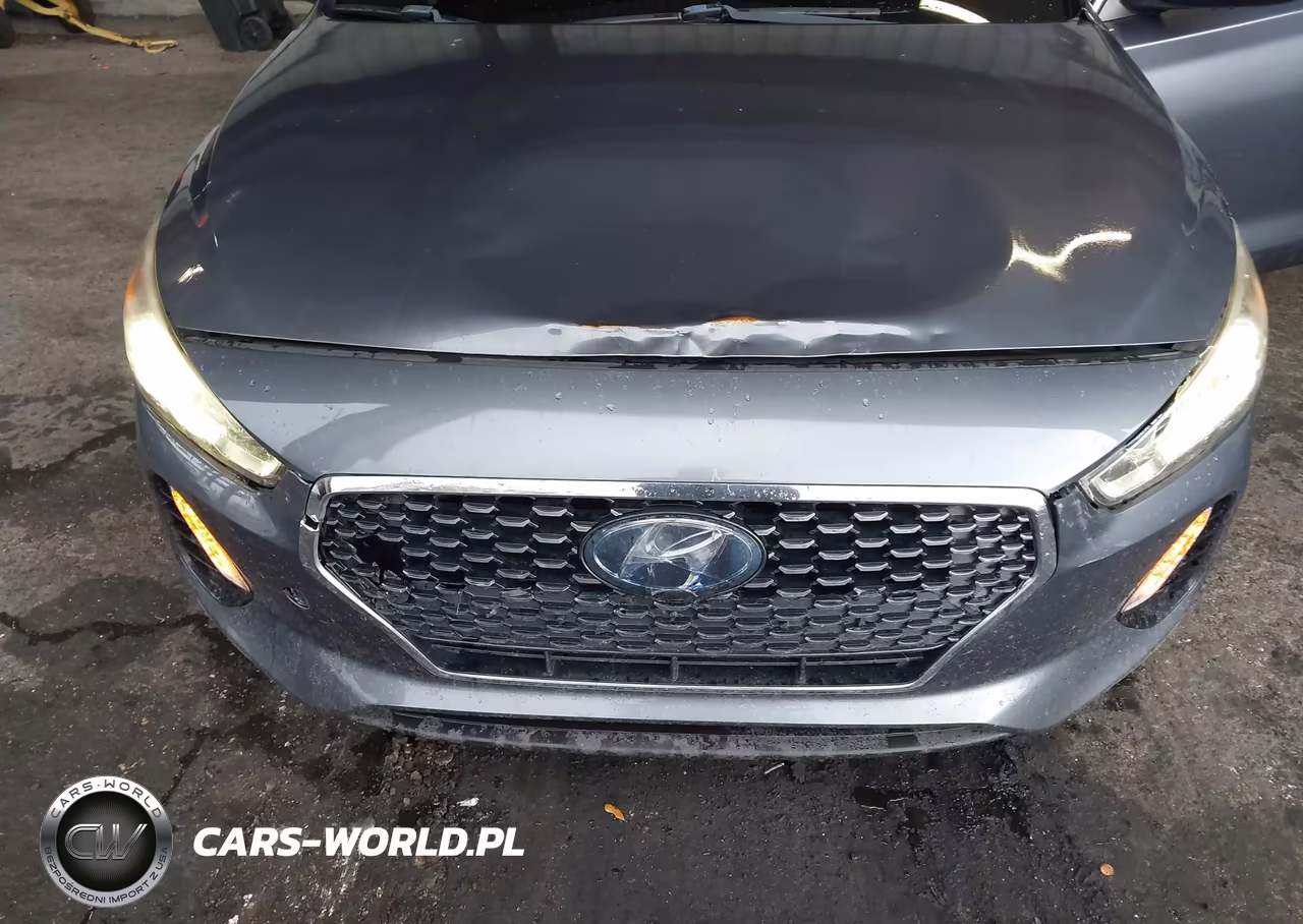 2018 Hyundai Elantra Gt Sport VIN:KMHH55LC0JU018236 - 6
