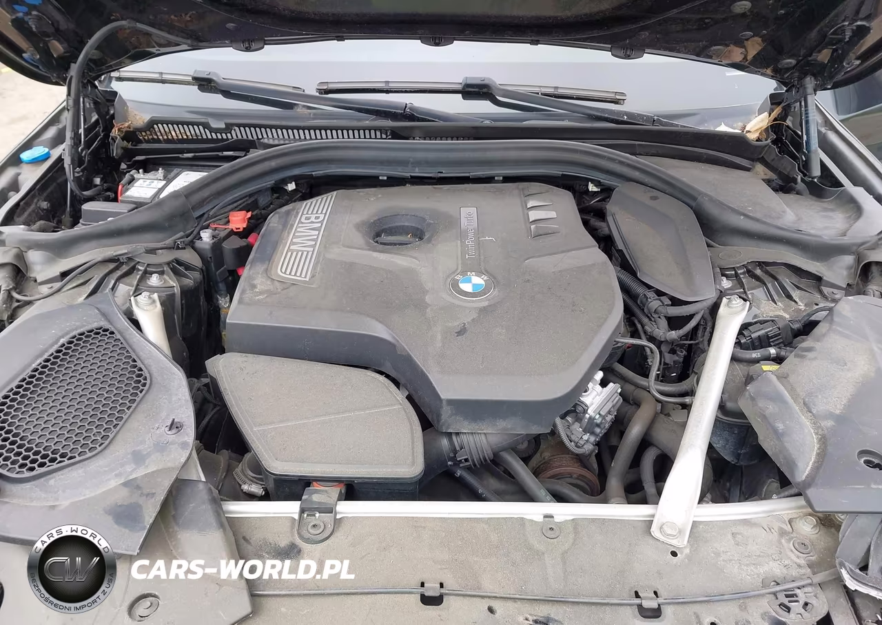 2019 BMW 5 Series 530I xDrive VIN:WBAJA7C50KWW09877 - 10