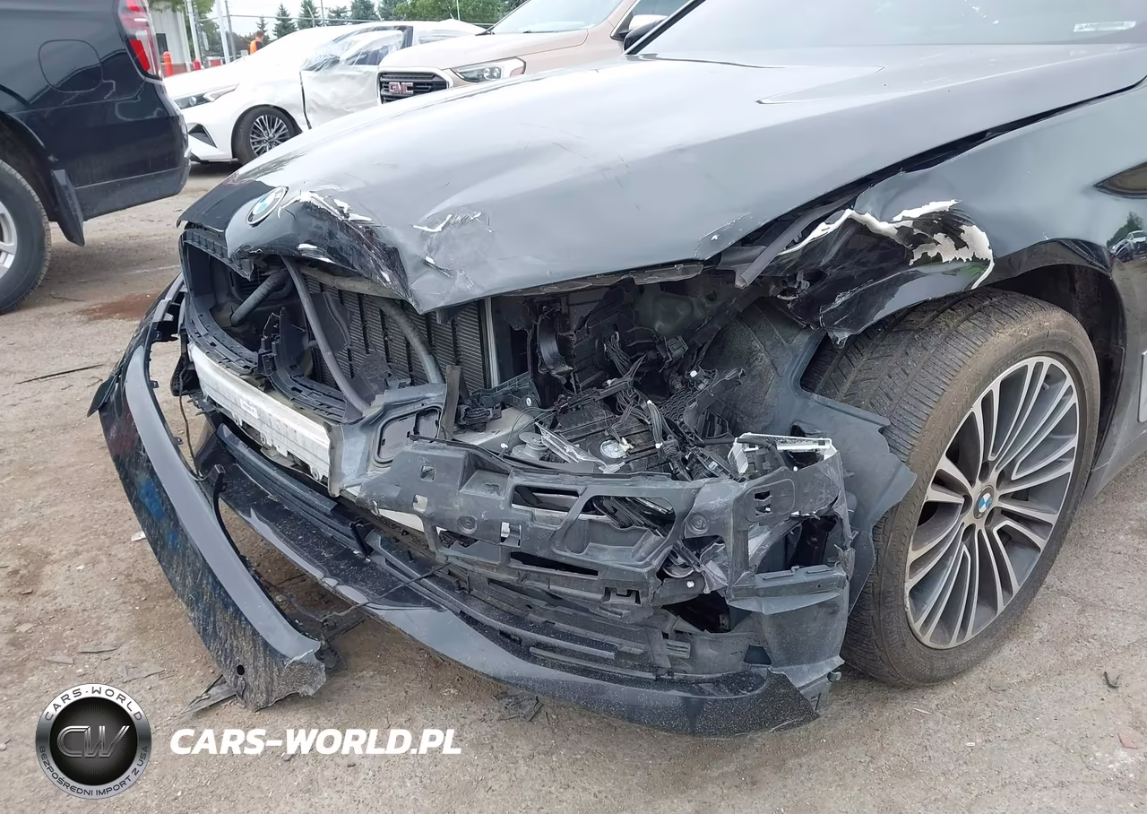 2019 BMW 5 Series 530I xDrive VIN:WBAJA7C50KWW09877 - 6