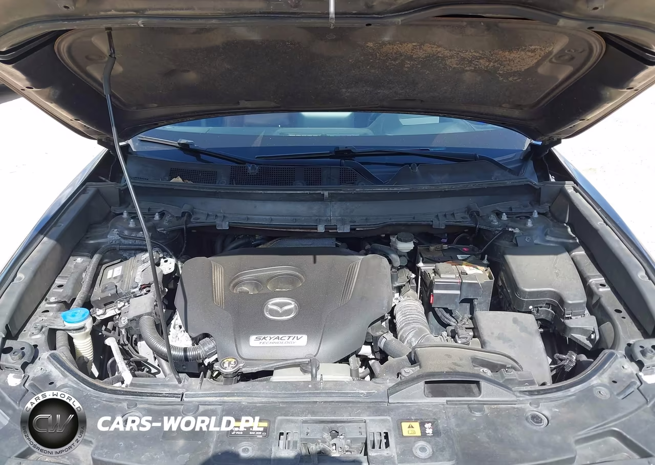 2016 Mazda Cx-9 Signature VIN:JM3TCBEY1G0102245 - 10