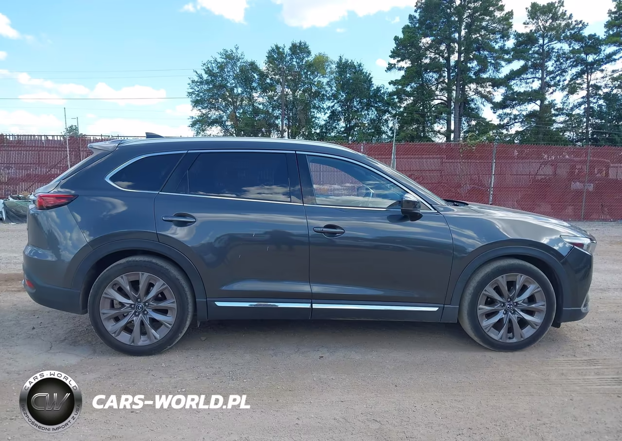 2016 Mazda Cx-9 Signature VIN:JM3TCBEY1G0102245 - 13