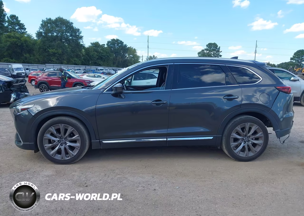 2016 Mazda Cx-9 Signature VIN:JM3TCBEY1G0102245 - 14