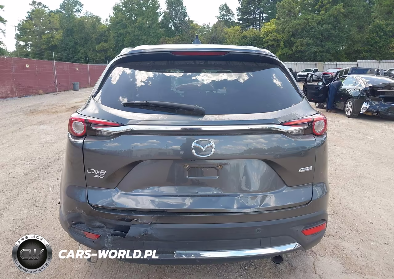 2016 Mazda Cx-9 Signature VIN:JM3TCBEY1G0102245 - 16