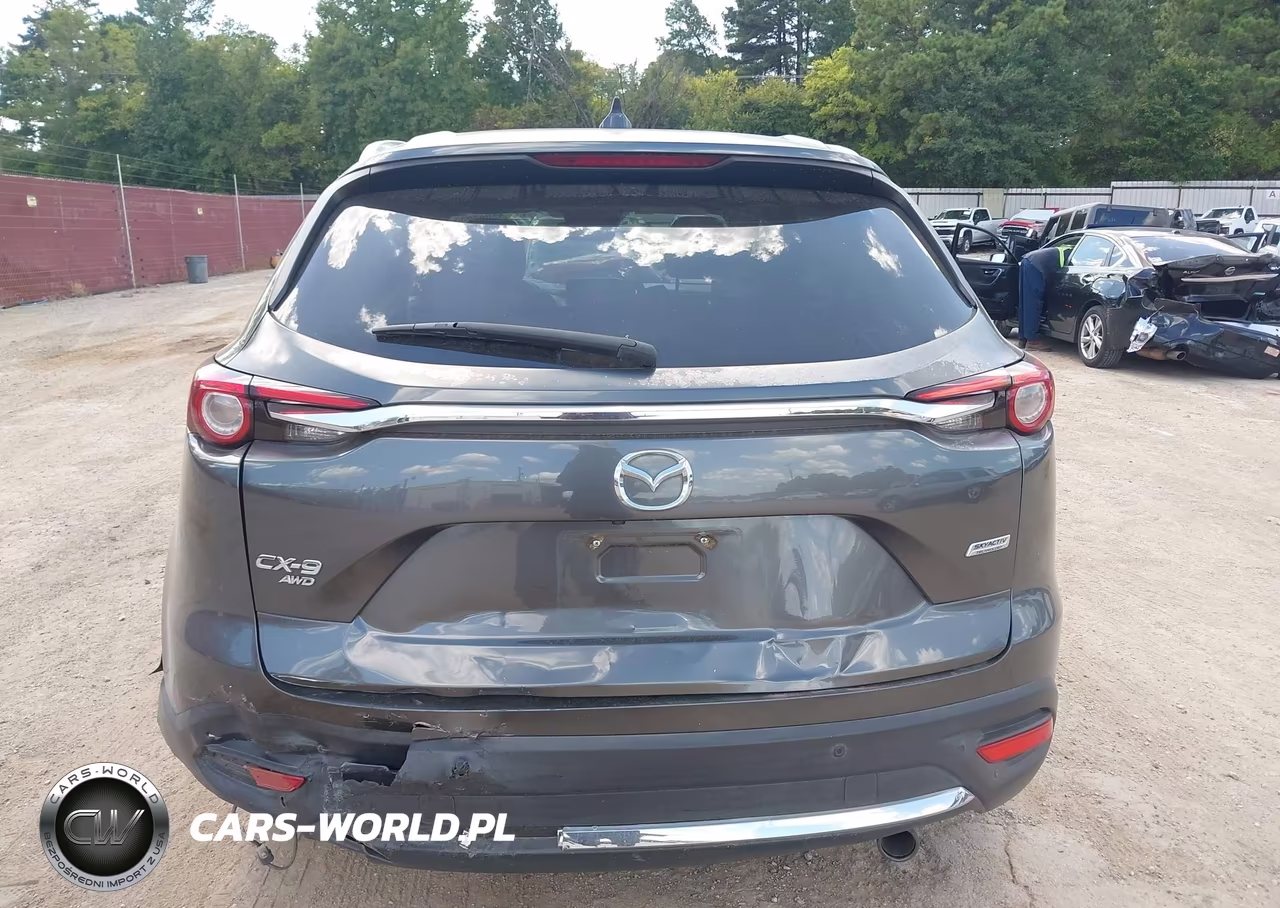 2016 Mazda Cx-9 Signature VIN:JM3TCBEY1G0102245 - 6