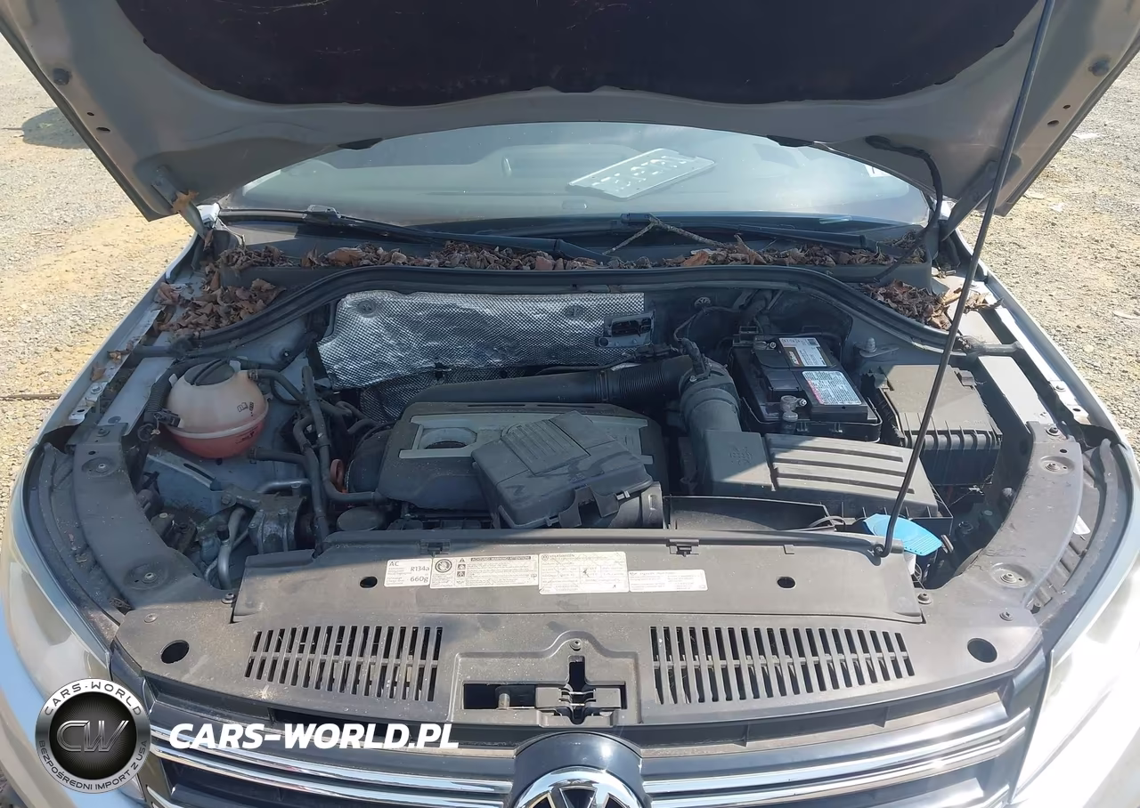 2012 Volkswagen Tiguan Se VIN:WVGAV7AX5CW526471 - 10