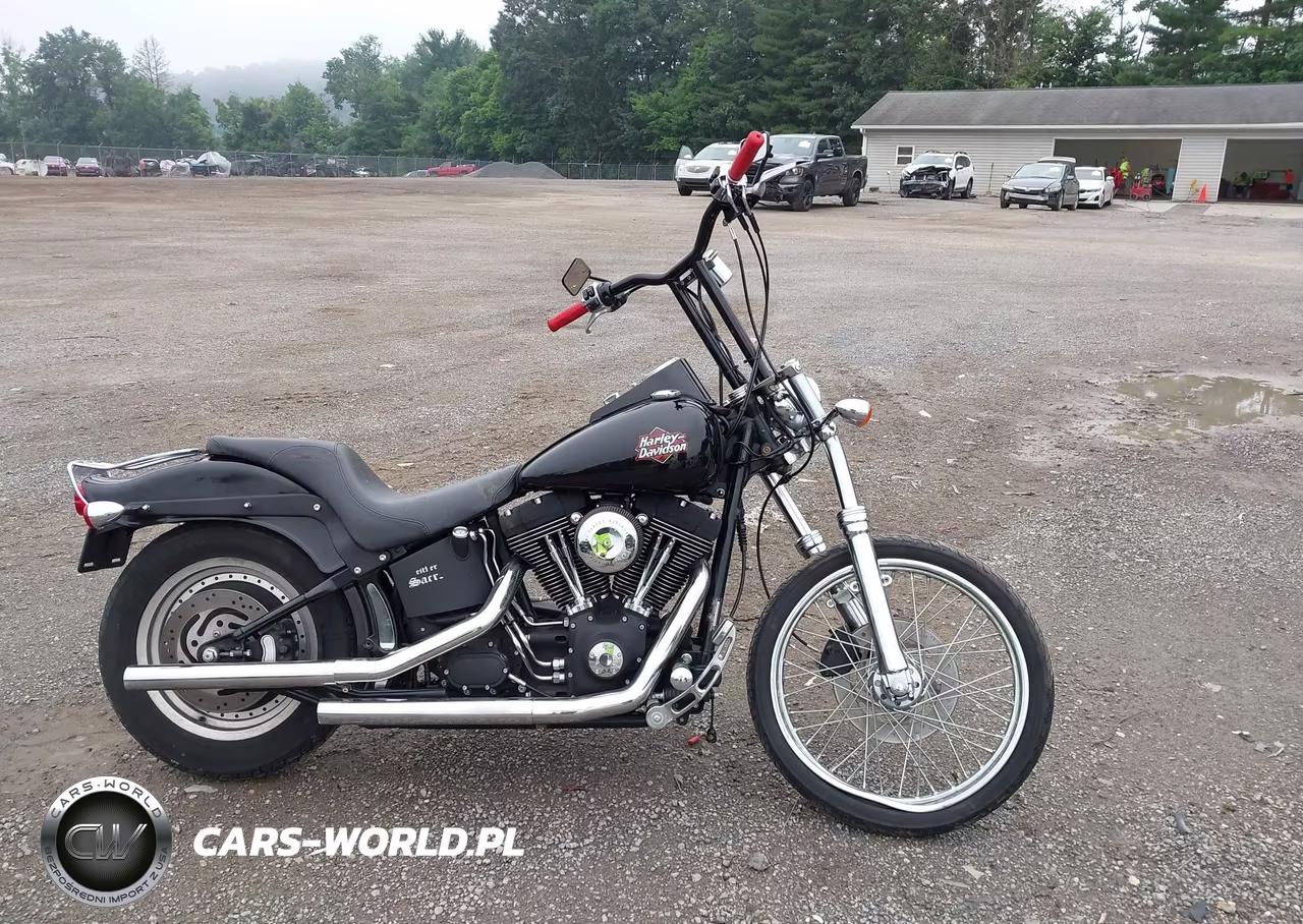 2000 Harley-Davidson Fxstb VIN:1HD1BTY17YY024336 - 12
