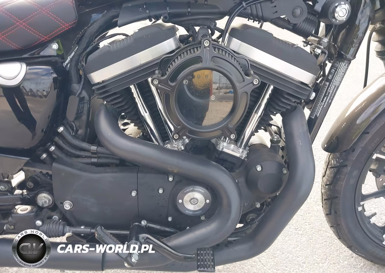 2020 Harley-Davidson Xl883 N VIN:1HD4LE215LB429492 - 8